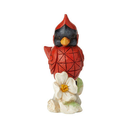 Mini Cardinal