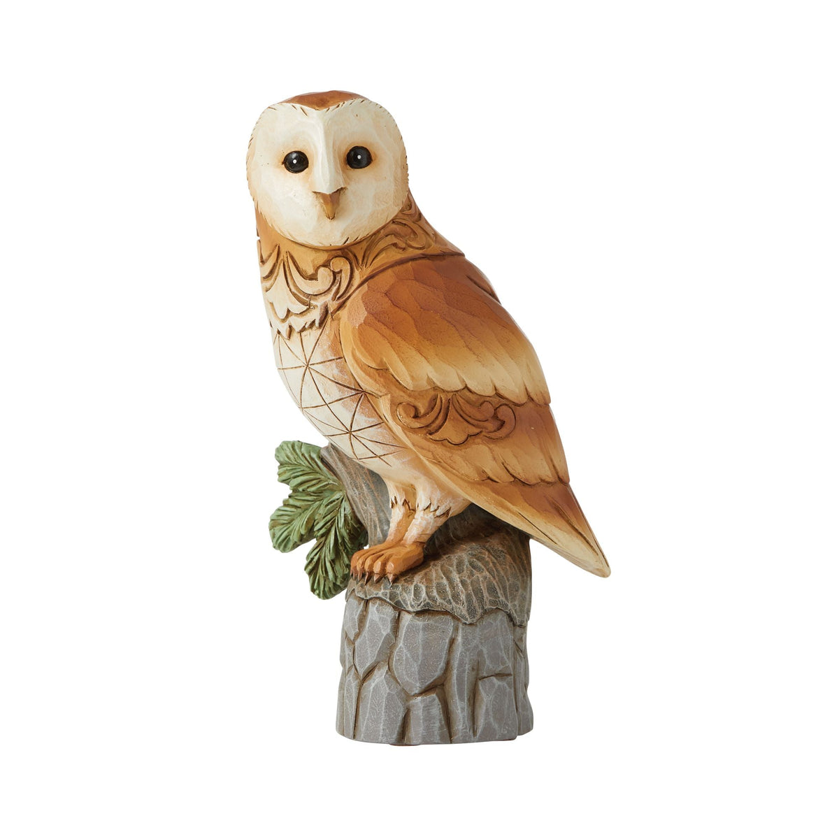Barn Owl
