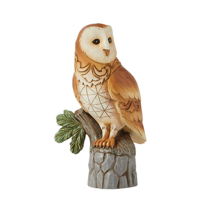 Barn Owl