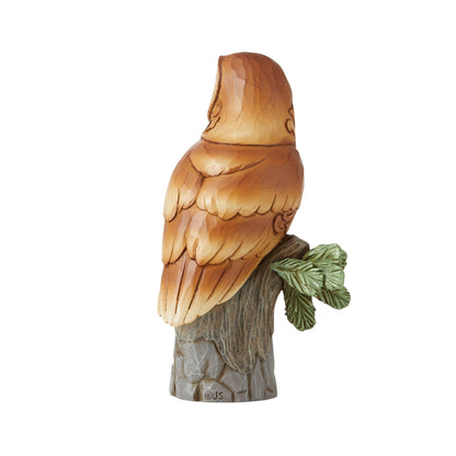 Barn Owl