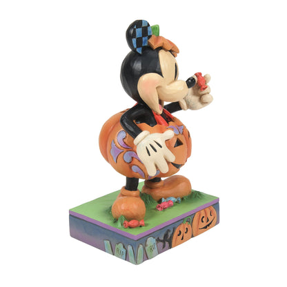 Mickey Pumpkin Costume