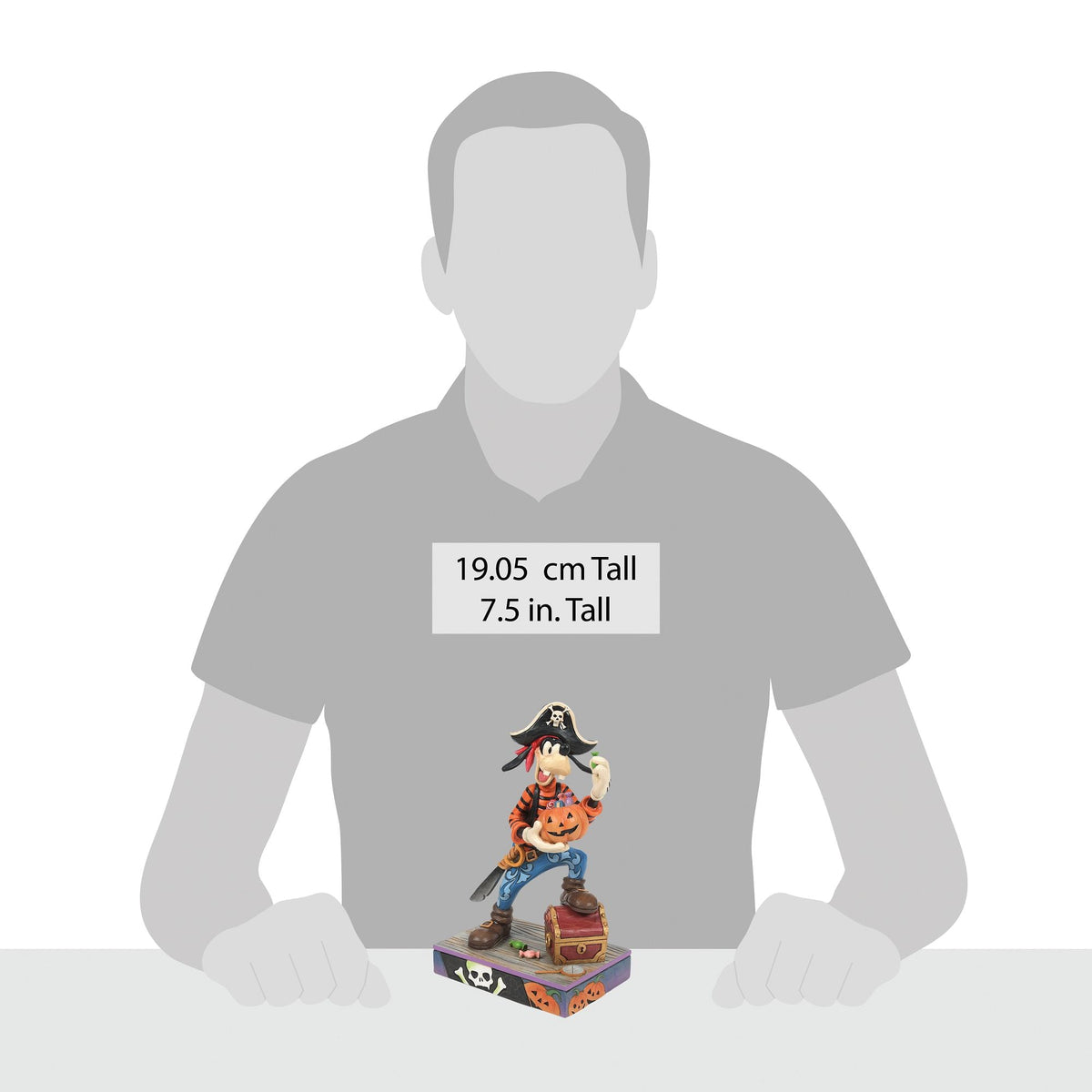 Goofy Pirate Costume