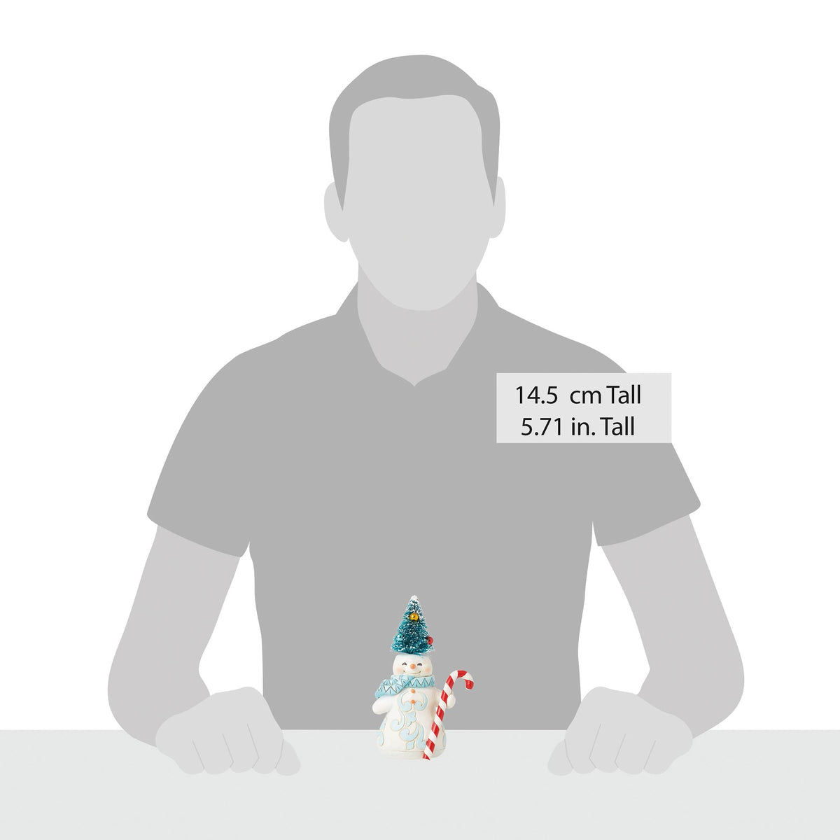 Pint Snowman Sisal Hat Fig