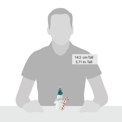 Pint Snowman Sisal Hat Fig