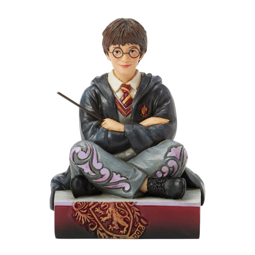Harry Potter with Wand