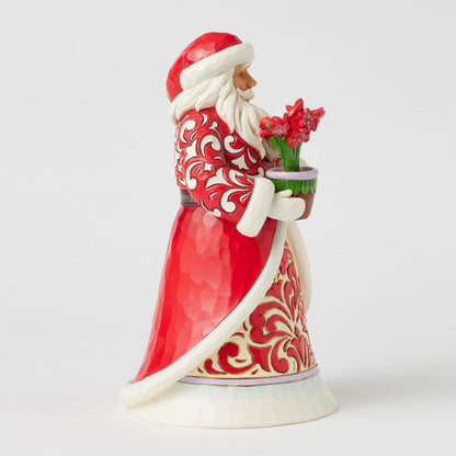 Santa with Blooming Amaryllis